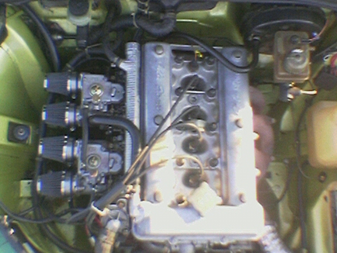Image(08).jpg