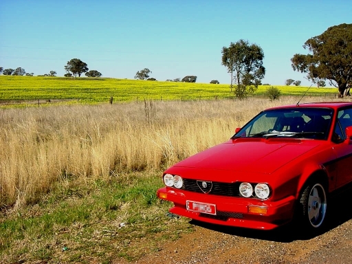 Dubbo sunshine2.jpg
