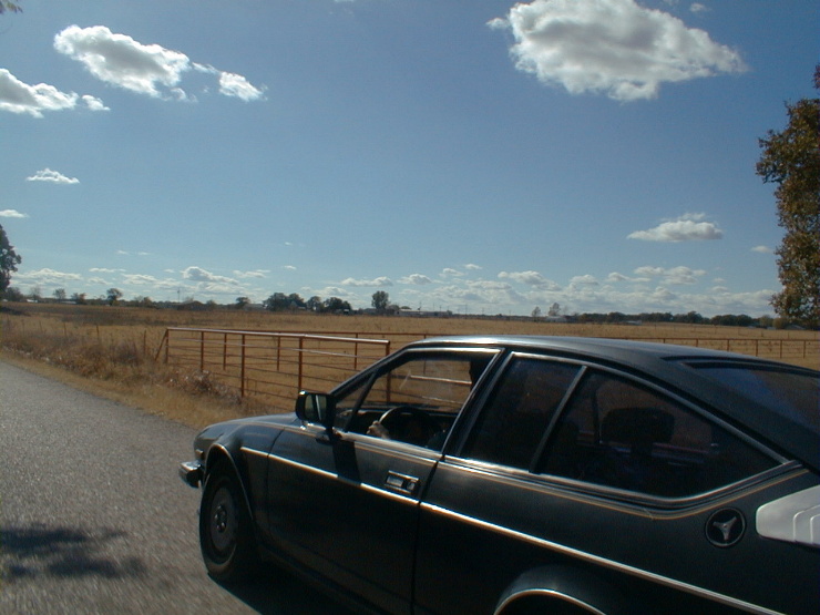alfavsbmw.jpg