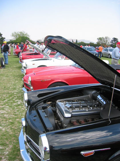 IMG_1949resize.jpg