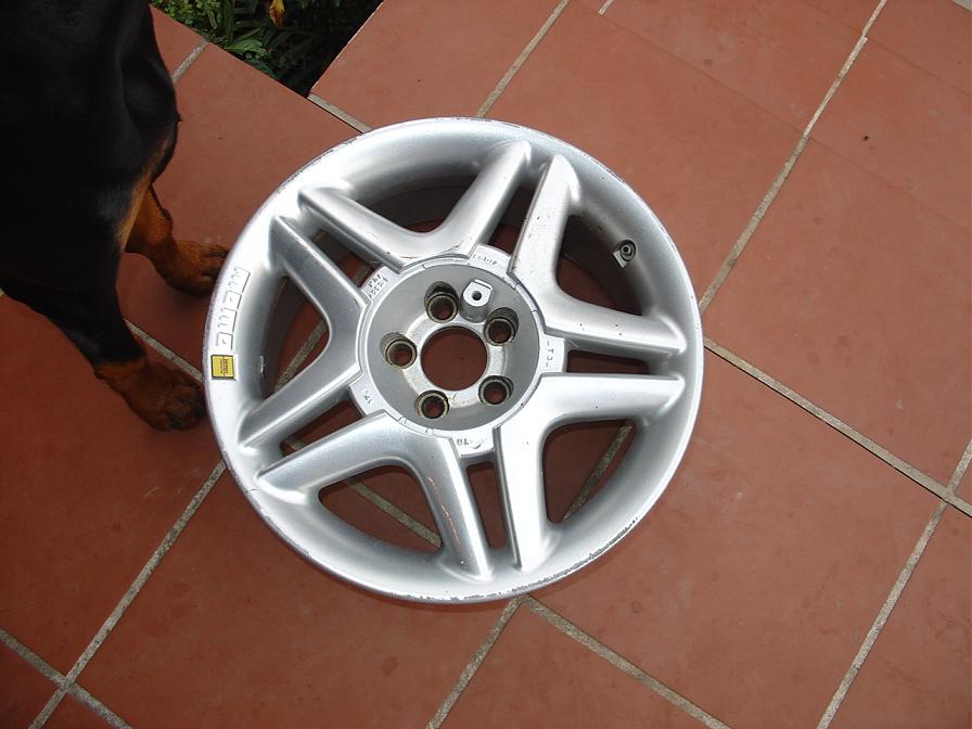 DSC01920.JPG