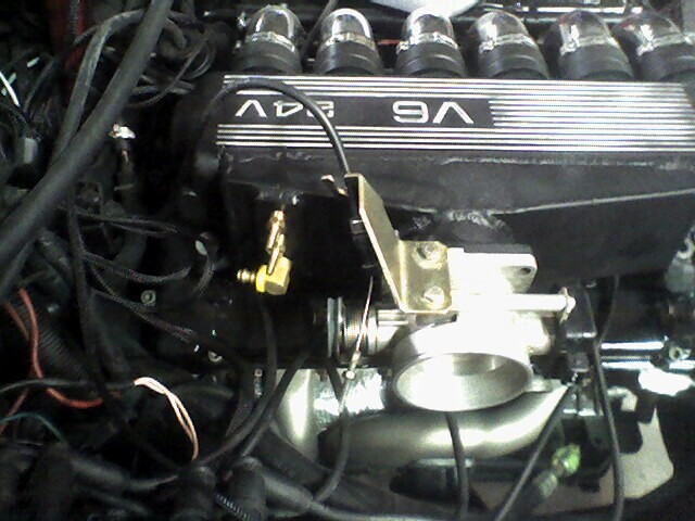 Alfa Engine management #11.JPG