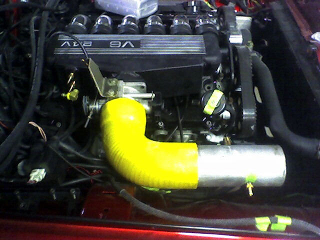 Alfa Engine management #12.JPG