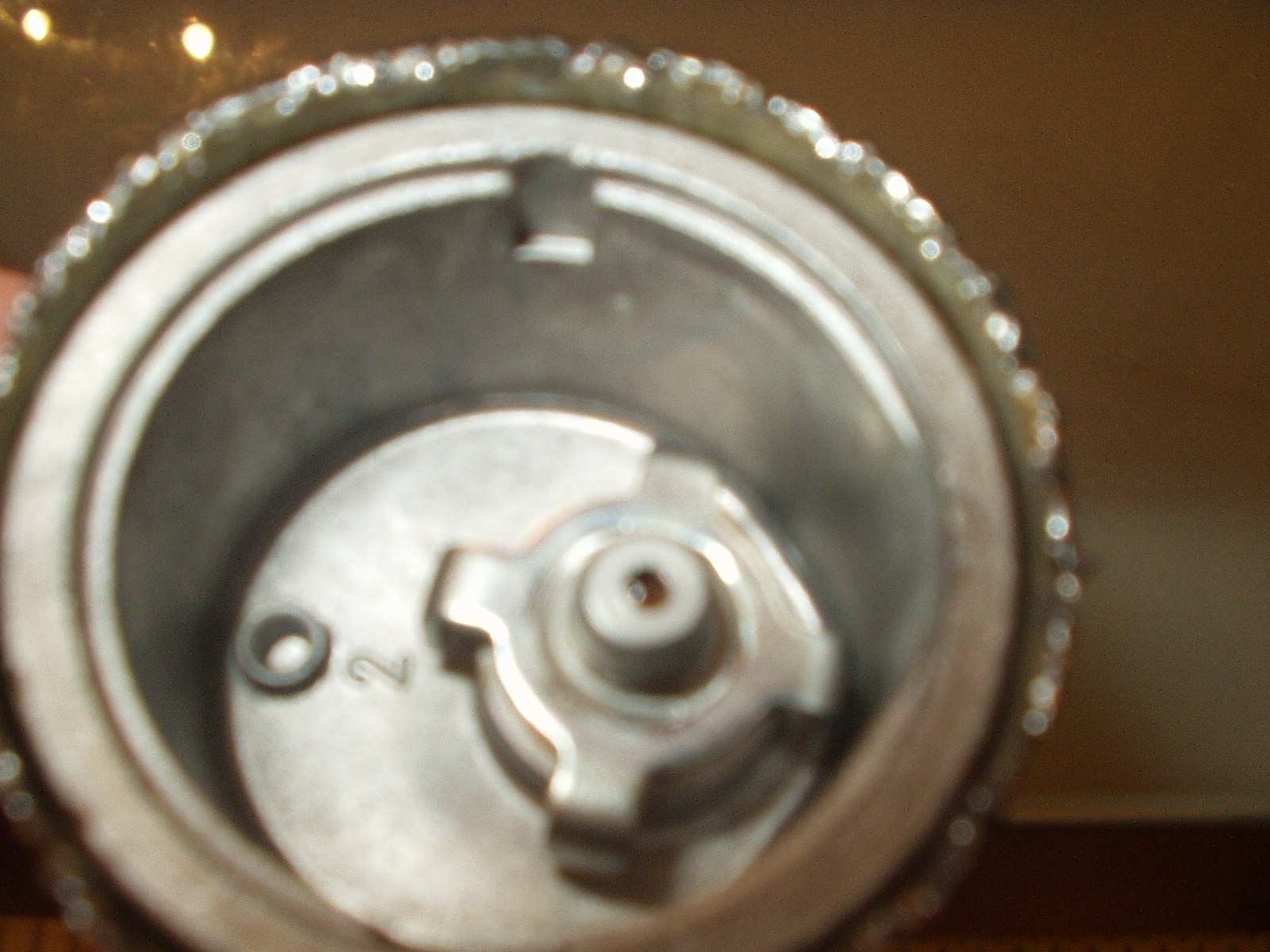 P1010016.JPG