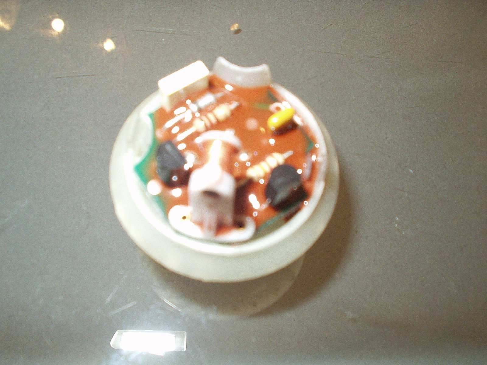 P1010015.JPG