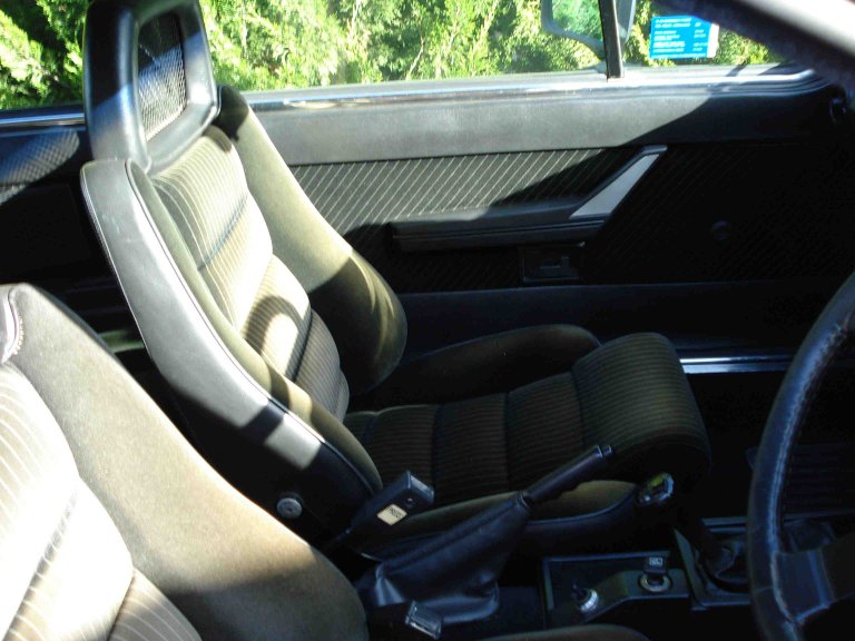 ALFA (seats).jpg
