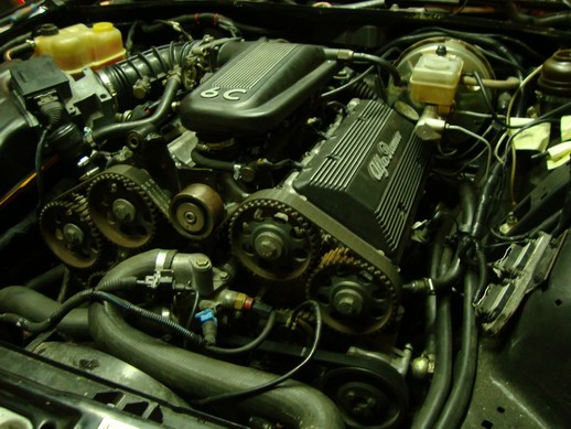 Resize of DSC00364.JPG