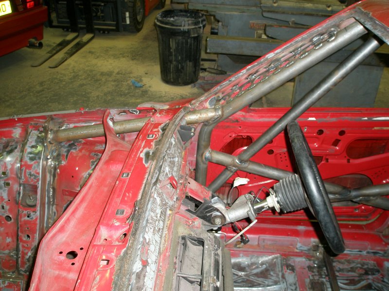 Cage 3.jpg