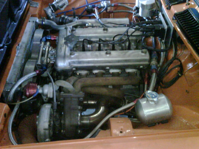 IMG01141-20100529-1102.jpg