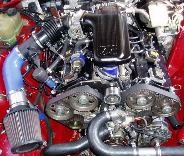 P2160007a.jpg